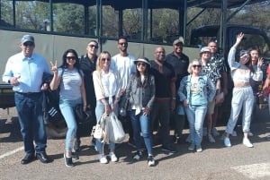 Kruger Nationalpark, dag 2