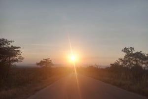 Kruger Nationalpark, dag 2