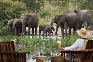 Safari de 3 días por el Parque Nacional Kruger fr Johannesburgo y Pretoria