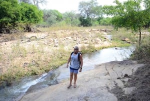Kruger Nationalpark: 3 dages safaritur og træhusophold