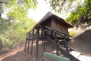 Kruger Nationalpark: 3 dages safaritur og træhusophold