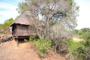 Krugerin kansallispuisto: 3 päivän safarimatka ja puumajamajoitus