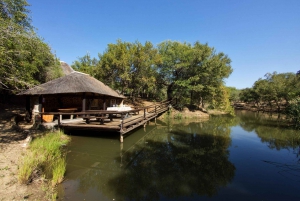 Kruger National Park: 3-Day Safari Tour and Treehouse Stay