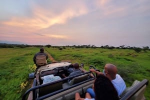 Parque Nacional Kruger: Safari de 3 días