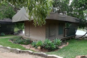 Parco Nazionale Kruger: tour safari di 3 giorni