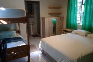 Krugerin kansallispuisto: 3 päivän safarimatka