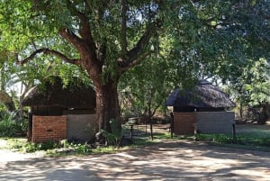 Krugerin kansallispuisto: 3 päivän safarimatka