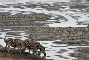 Krugerin kansallispuisto: 3 päivän safarimatka