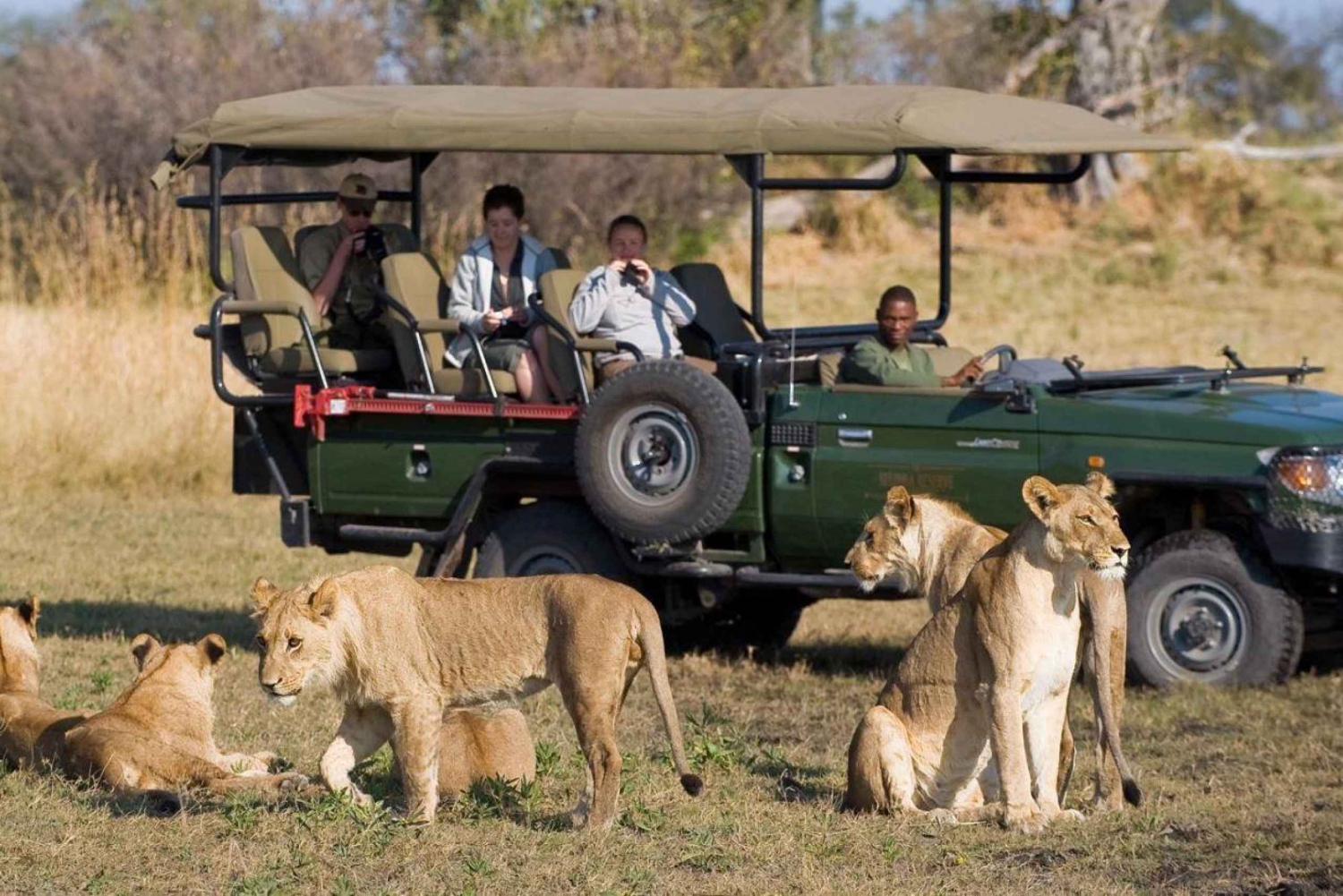 Krugerin kansallispuisto 4 päivän yksityinen safari Johannesburgista käsin