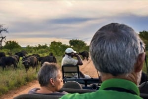 Safári de 4 dias no Parque Nacional Kruger para Joanesburgo e Pretória