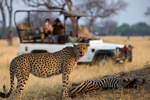 Krugerin kansallispuisto 4 päivän safari fr Johannesburg & Pretoria