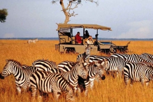 Safári de 4 dias no Parque Nacional Kruger para Joanesburgo e Pretória