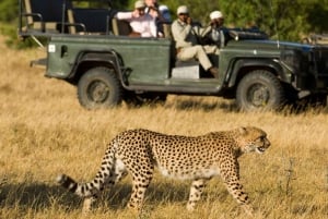 Safári de 4 dias no Parque Nacional Kruger para Joanesburgo e Pretória