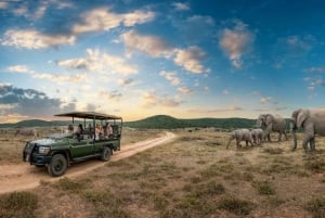 Krugerin kansallispuisto 4 päivän safari fr Johannesburg & Pretoria