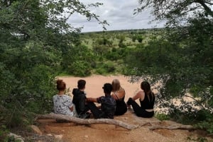Parque Nacional Kruger - Passeio de safári de 4 dias