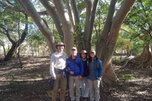 Kruger National Park - 4 dages safaritur