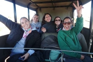 Kruger National Park - 4 dages safaritur