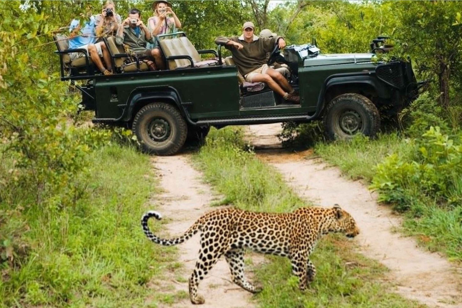 Parque Nacional Kruger - Excursión de 4 días desde Johannesburgo