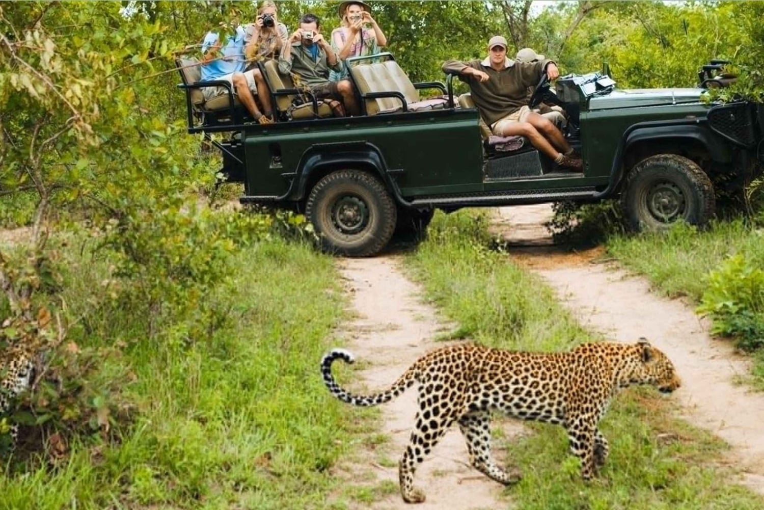 Kruger National Park - 4 Day Tour from Johannesburg