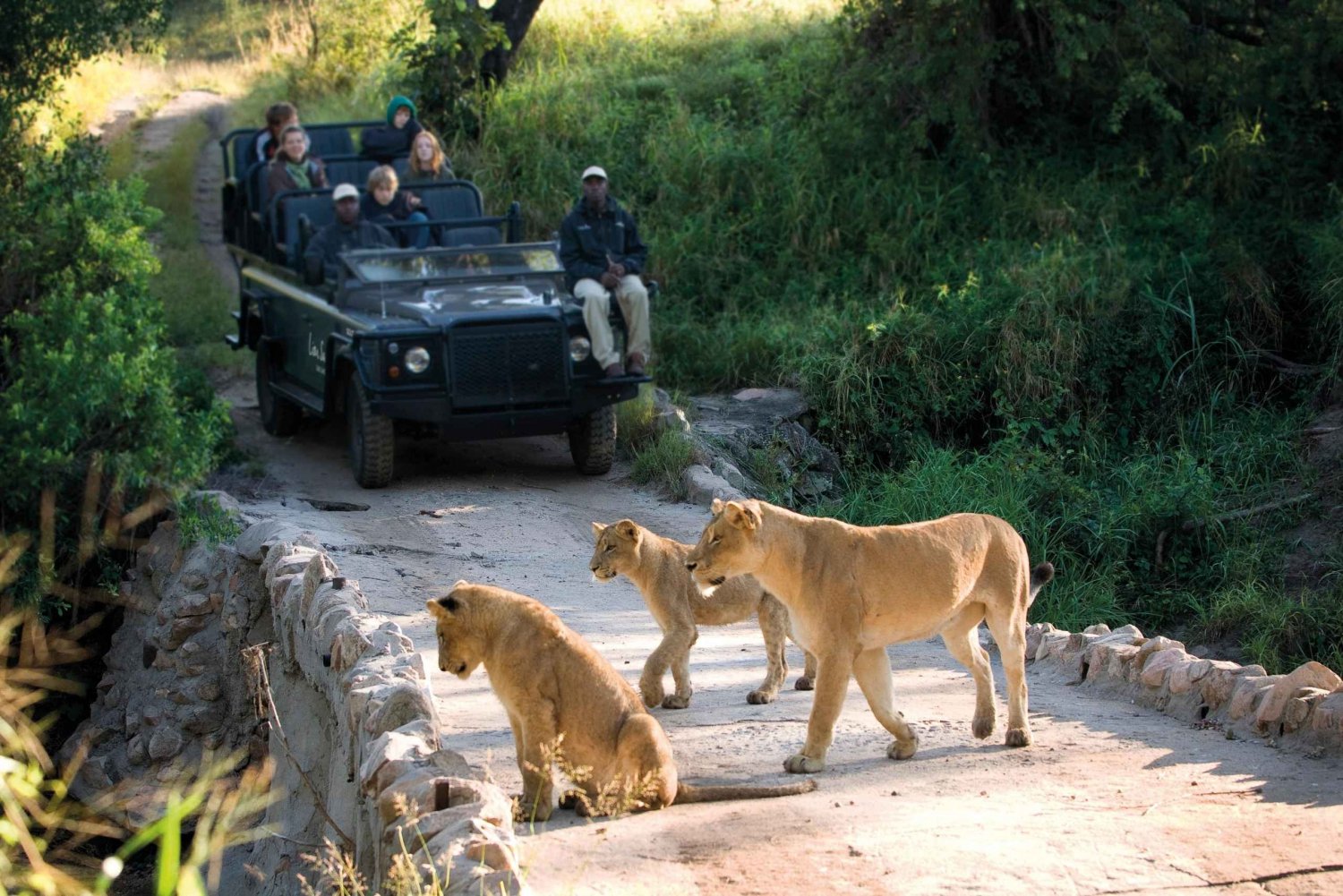 Krugerin kansallispuisto: Kruger Kruger: Paras 4 päivän budjettisafari