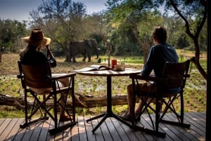 Parque Nacional Kruger: El mejor safari económico de 4 días