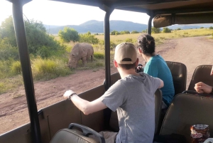 Krüger Nationalpark Tour 4Tage-3Nächte (offenes Safarifahrzeug)