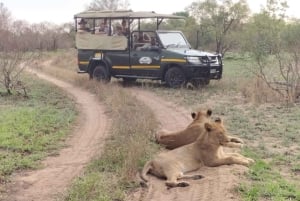 Kruger Park: 5-Day Kruger Park and Manyeleti Safari Tour