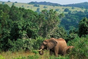 Kruger Park & Blyde River Canyon 4Day Safari fr Johannesburg