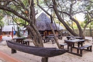 Lesedi Cultural Experience + Lunch or Dinner