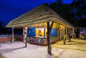 Experiencia Cultural Lesedi + Comida o Cena