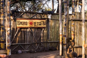 Experiencia Cultural Lesedi + Comida o Cena