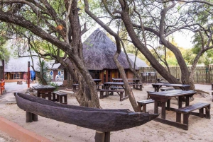 Experiencia Cultural Lesedi + Comida o Cena