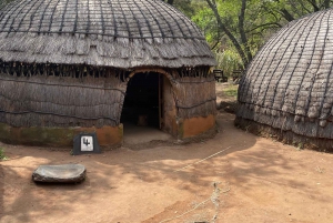 Lesedi cultural village(5 big tribe) & Pretoria city