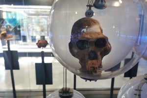 Lesedi Cultural Village und Maropeng Fossil Museum, Cradl