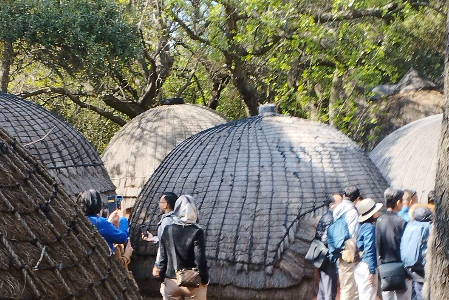 レセディ文化村半日ツアー