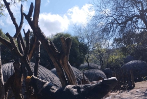 レセディ文化村半日ツアー