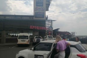 LESEDI CULTURAL VILLAGE TOUR