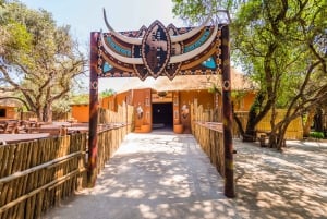 Cultureel dorp Lesedi