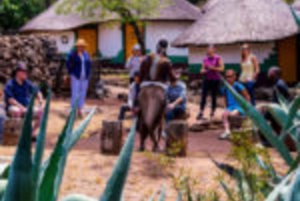 Village culturel de Lesedi