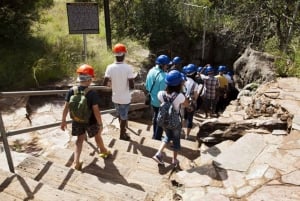 Lion and Safari Park & Cradle of Humankind Full-Day Tour