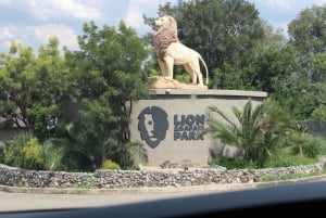 parco dei leoni: Avventura Safari