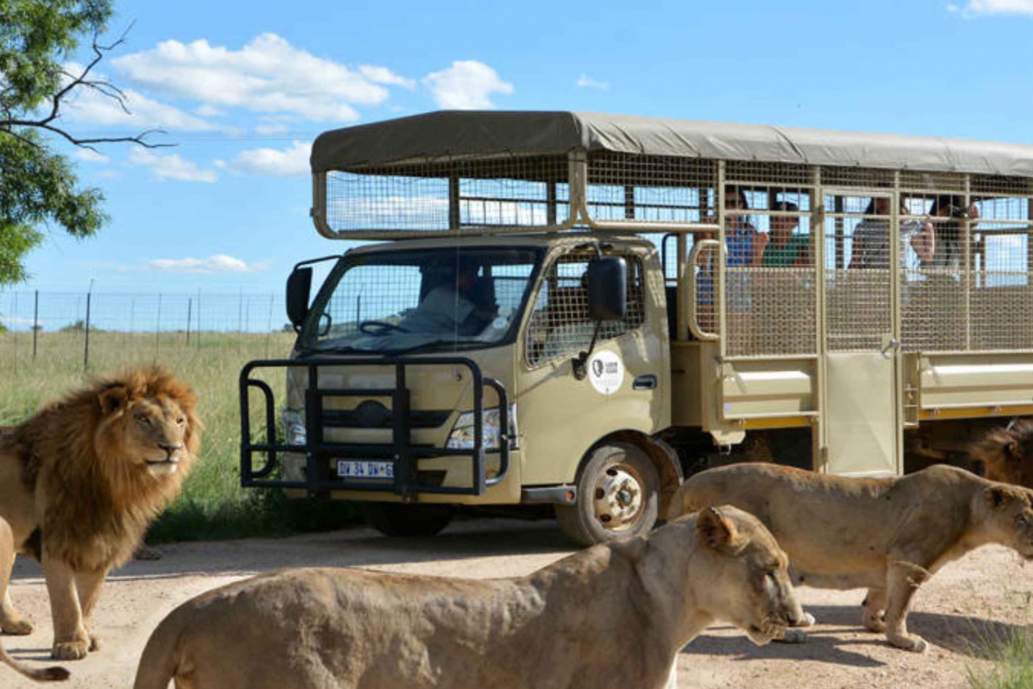 Lion & Safari Park: Lion & Safari: Seikkailu luonnon sydämessä