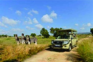 Tour por el Lion & Safari Park