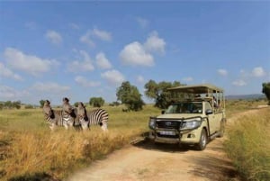 Excursion au Lion & Safari Park