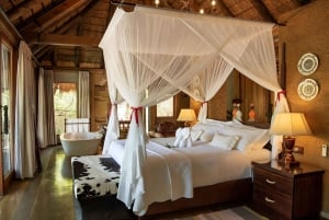 Luxury 5 Day Kruger Park all Inclusive Safari from Joburg!