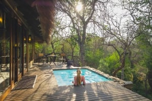 Luxury 5 Day Kruger Park all Inclusive Safari from Joburg!