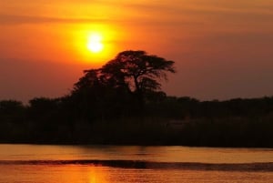 Luksusowy Park Narodowy Krugera: Safari i trasa panoramiczna
