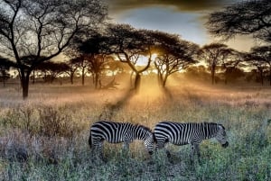 Lyxig Kruger nationalpark: Safari & Panoramarutt