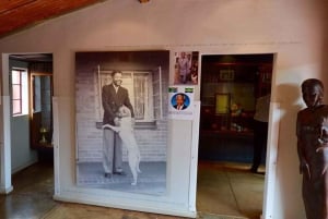 Mandela House Entry Ticket