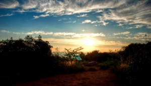Melville Koppies Nature Reserve